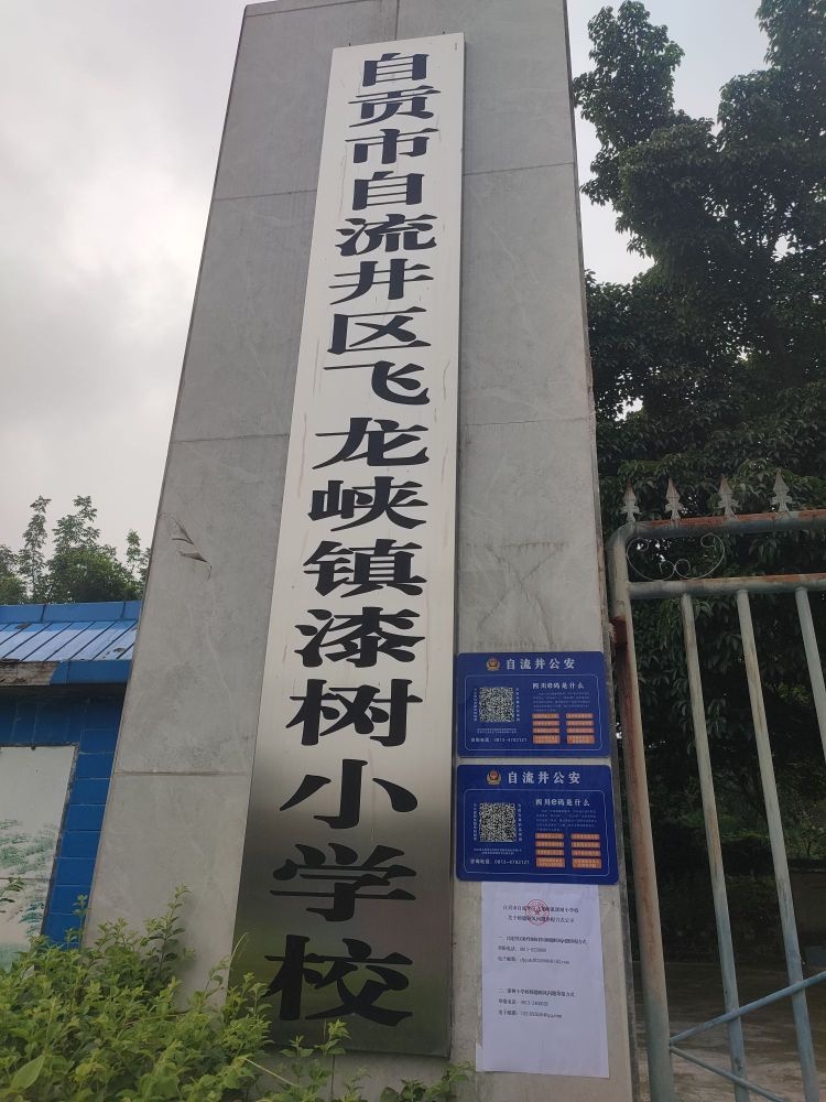 自贡市自流井区飞龙峡镇漆树小学校