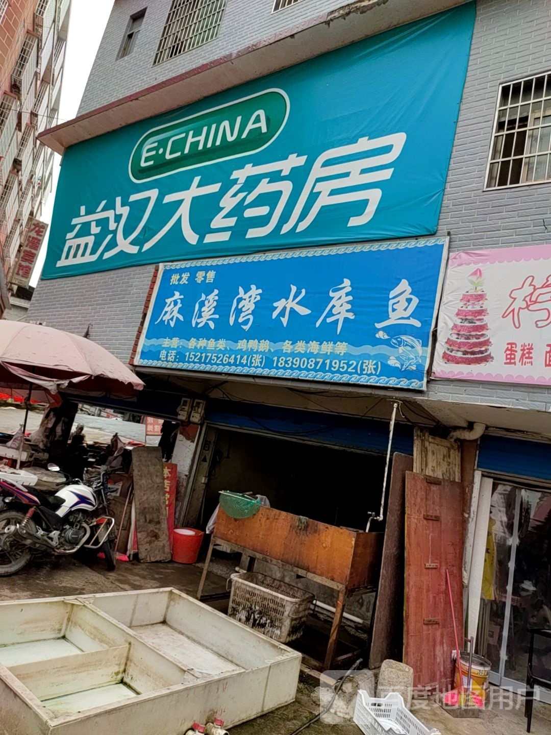 麻溪湾水库鱼