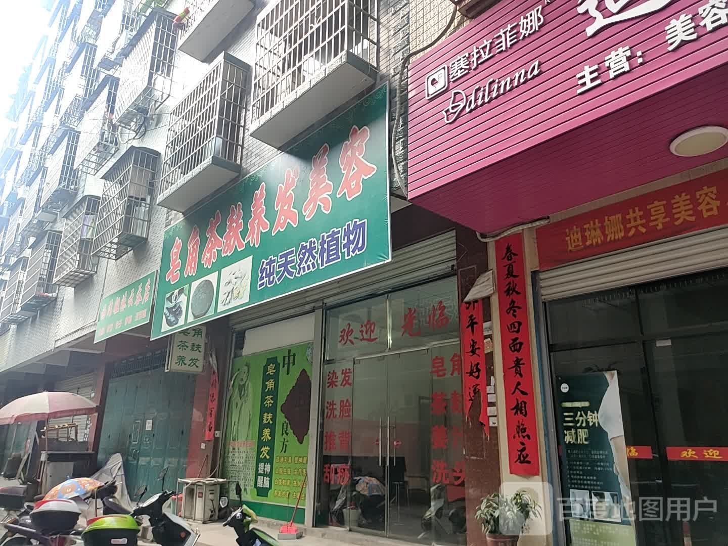 皂角茶麸养发美容