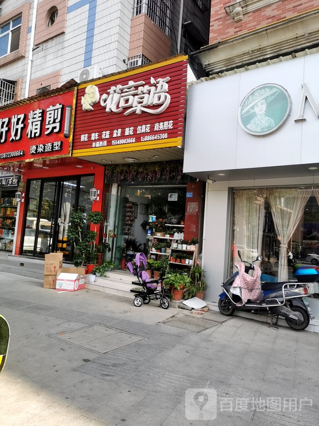 花言草语(玉沙路店)