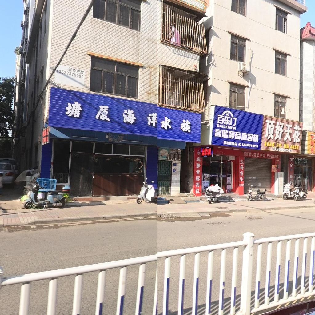 塘厦海洋水族
