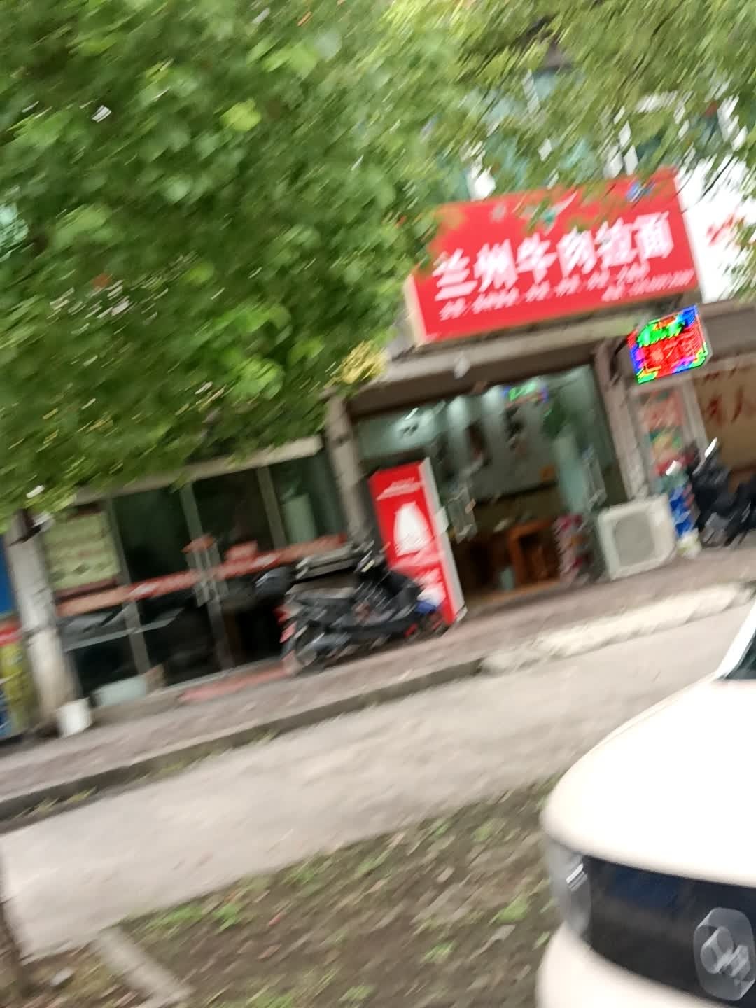 清真兰州牛肉拉面(鲁港店)