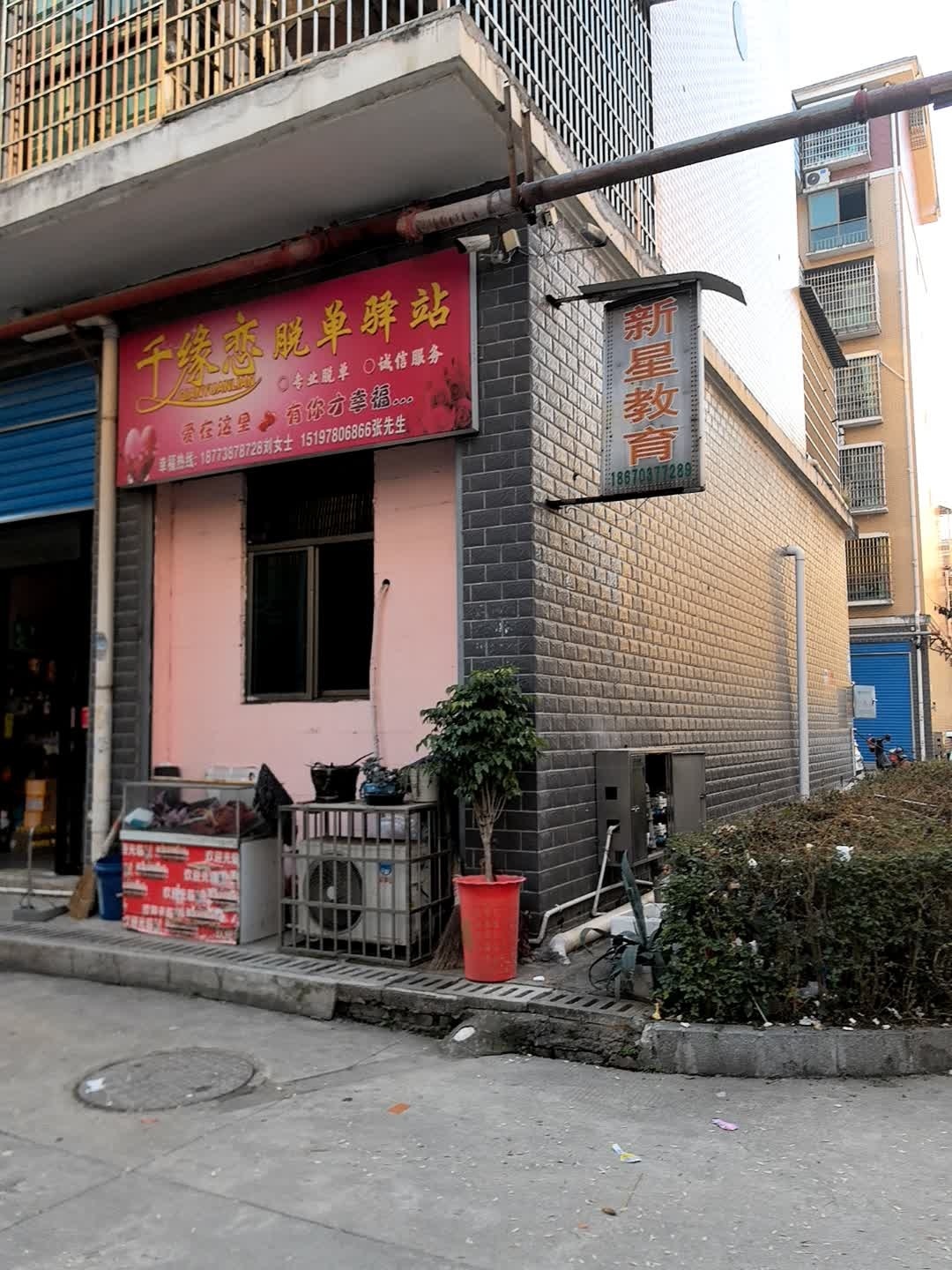 新星教育