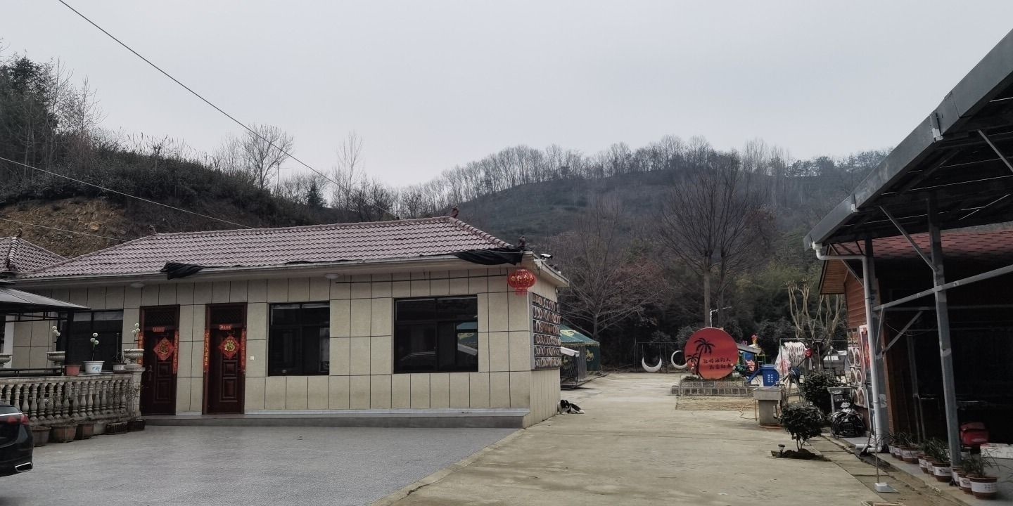 雅致景观大床房（含双人营养早餐）