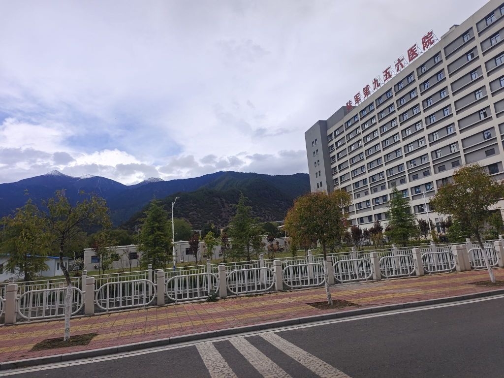 中国人民解放军陆军第九五六医院高压氧科