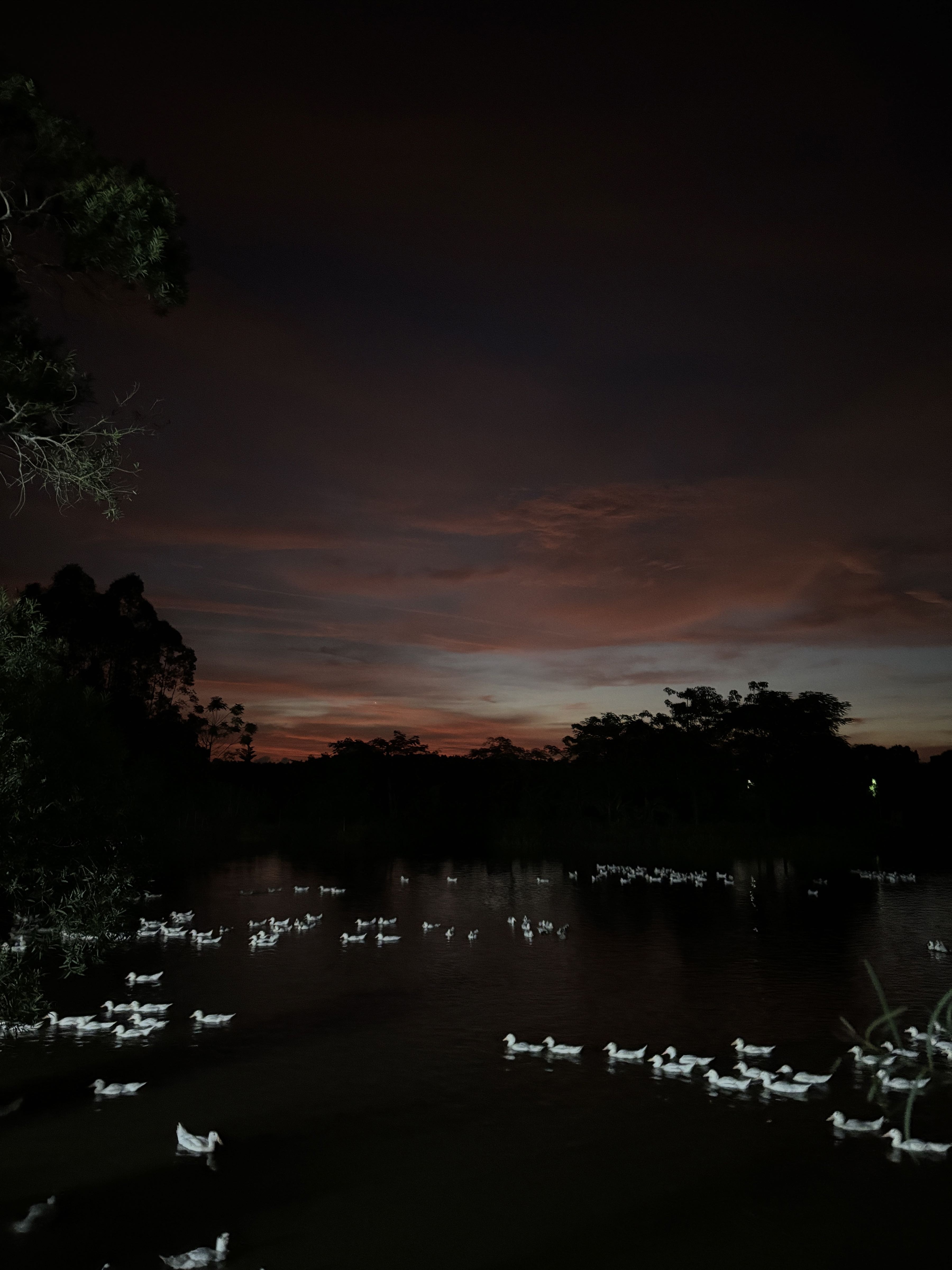 广东省廉江市青平镇水井垌村6号