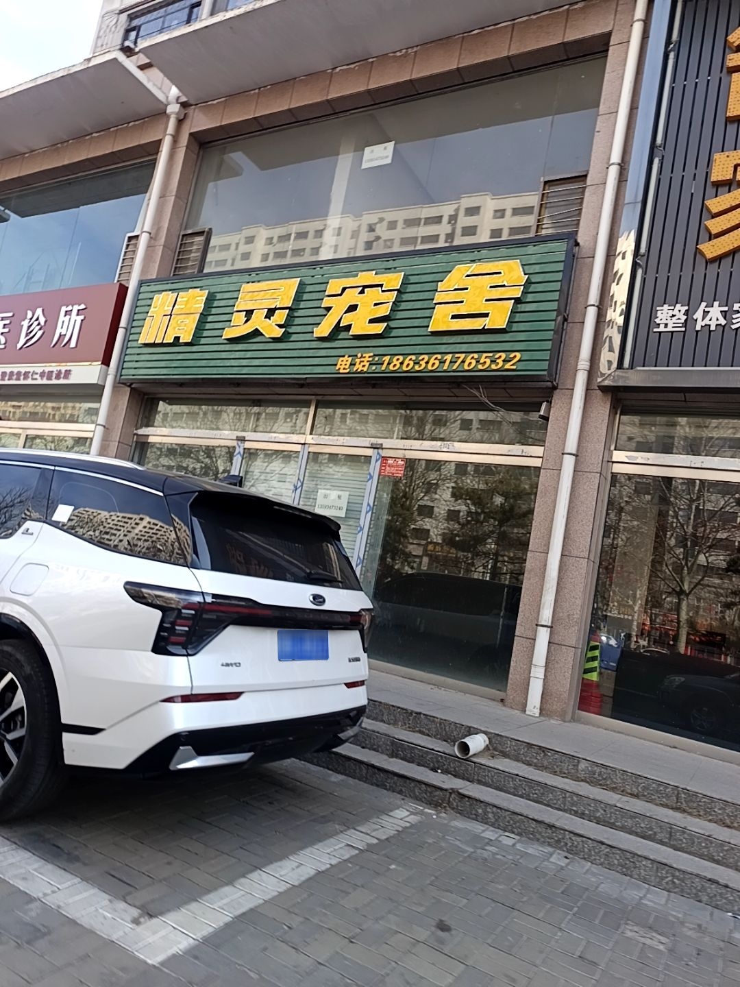 精灵宠舍