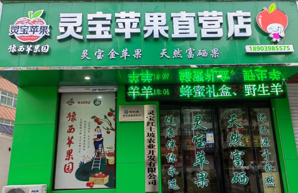 灵宝苹果直营店