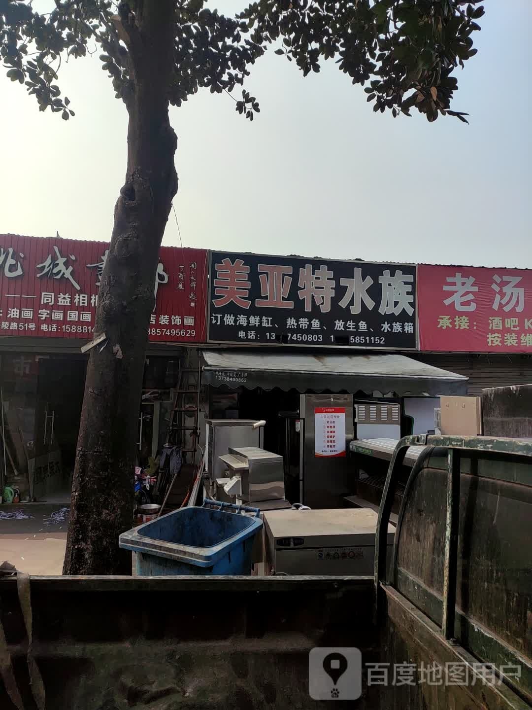 美亚特水族(余姚专卖店)