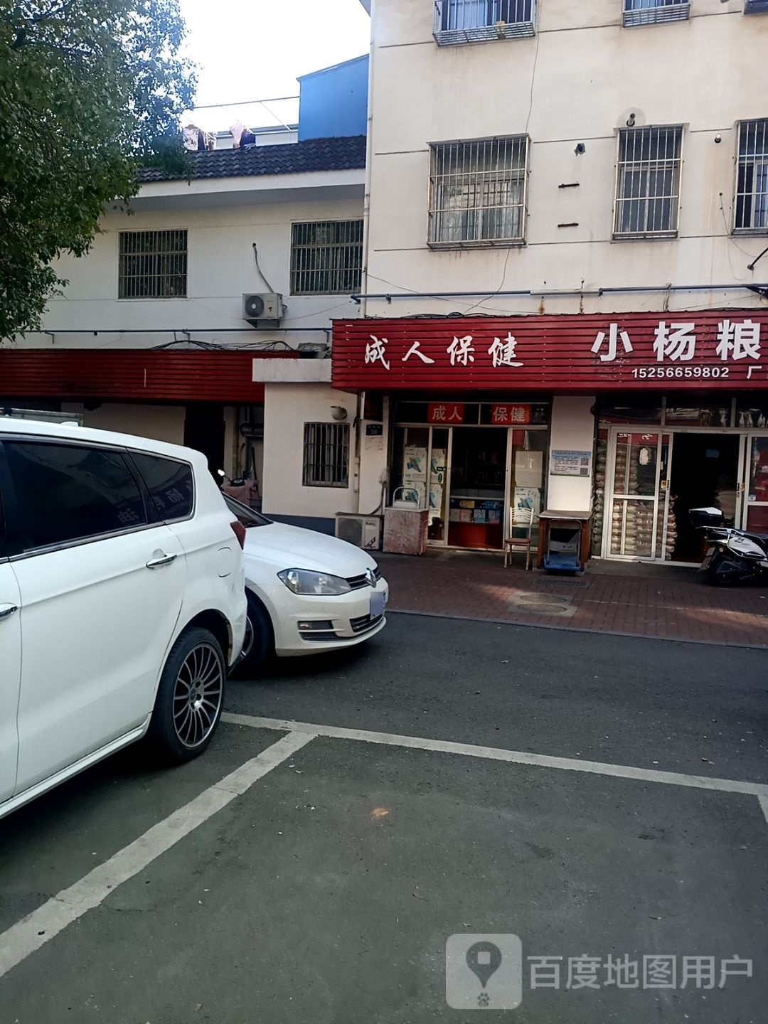 成市保健