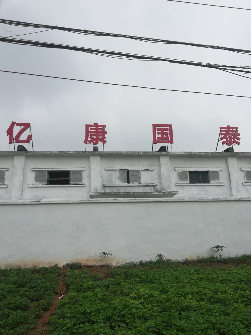 海南亿康国泰实业有限公司