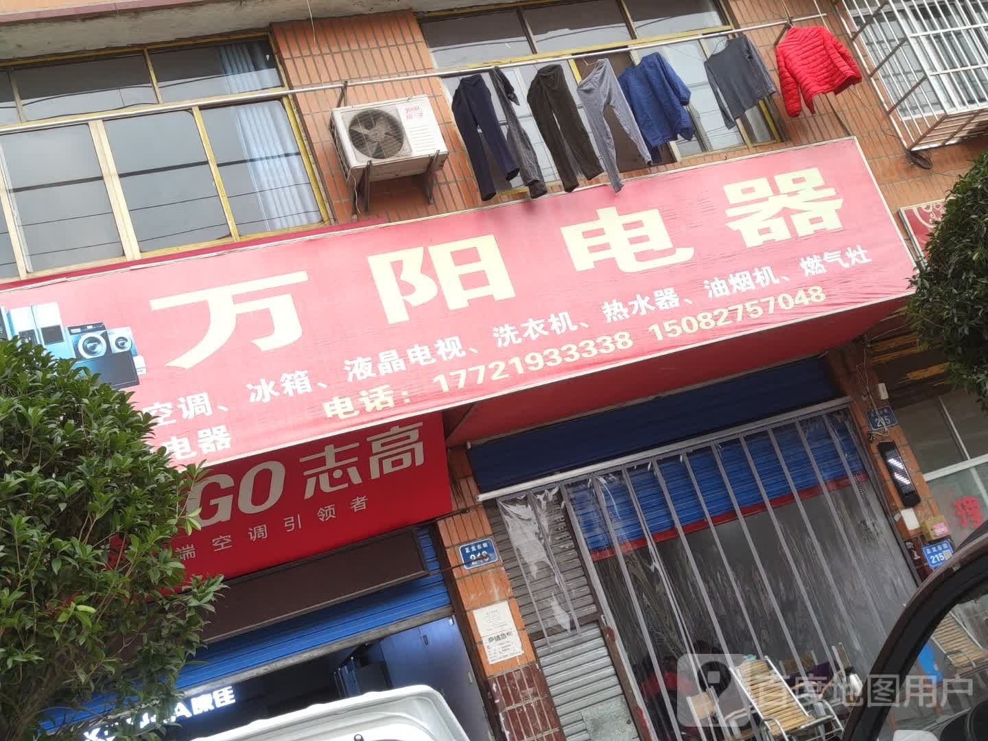 智高