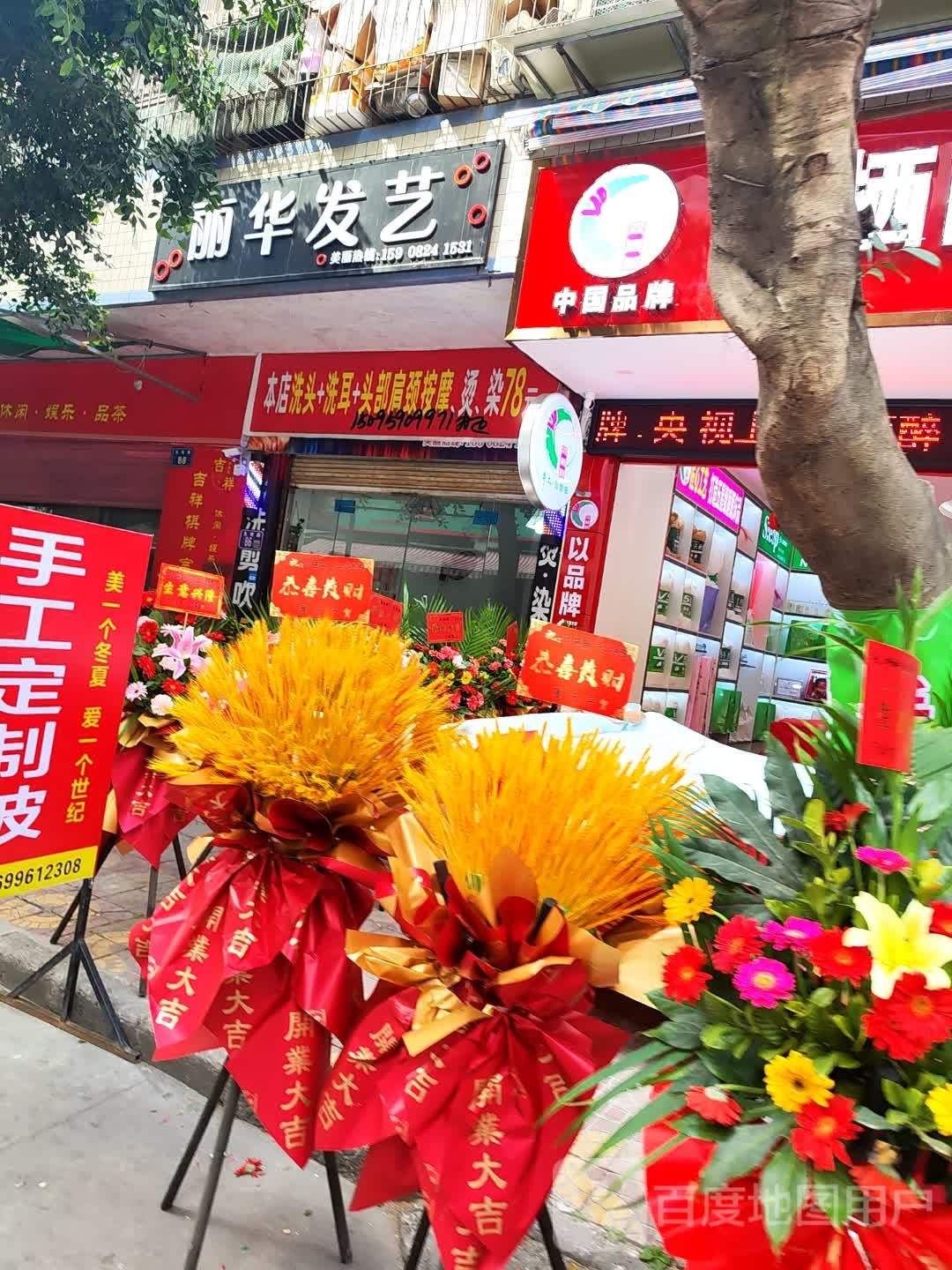 丽华强艺