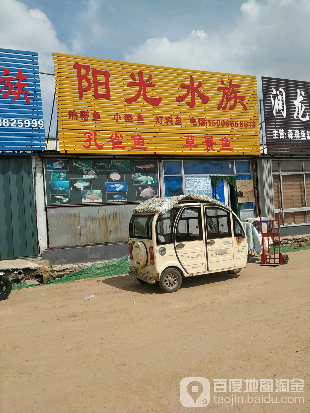 阳光水族(宝通西街店)