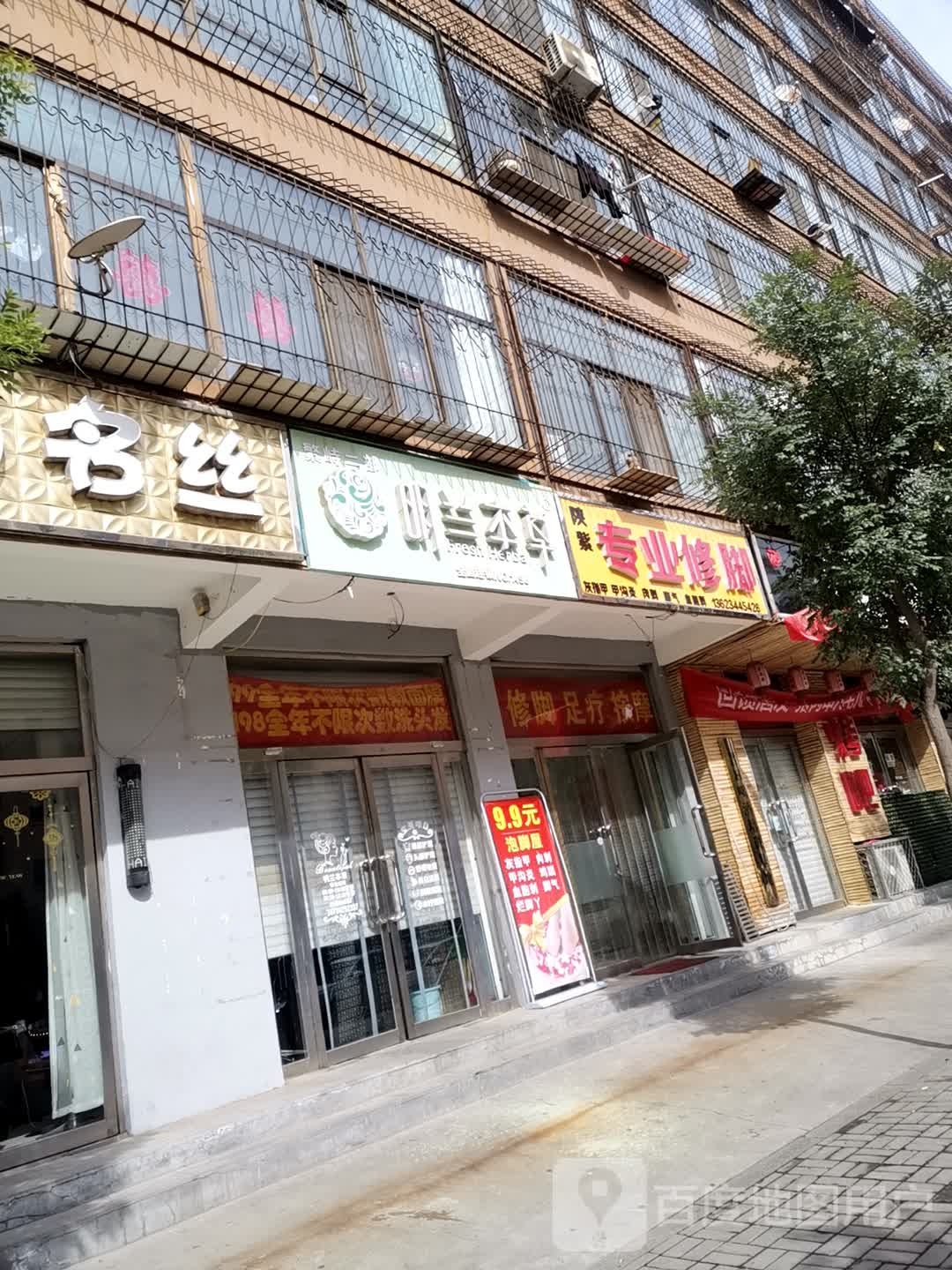 陕紫专业修