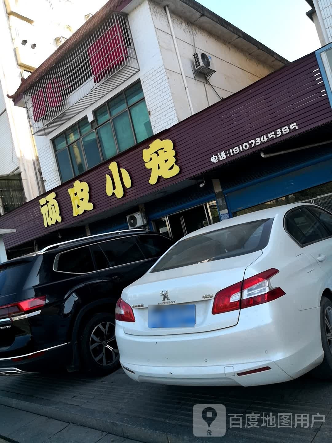 顽皮小宠