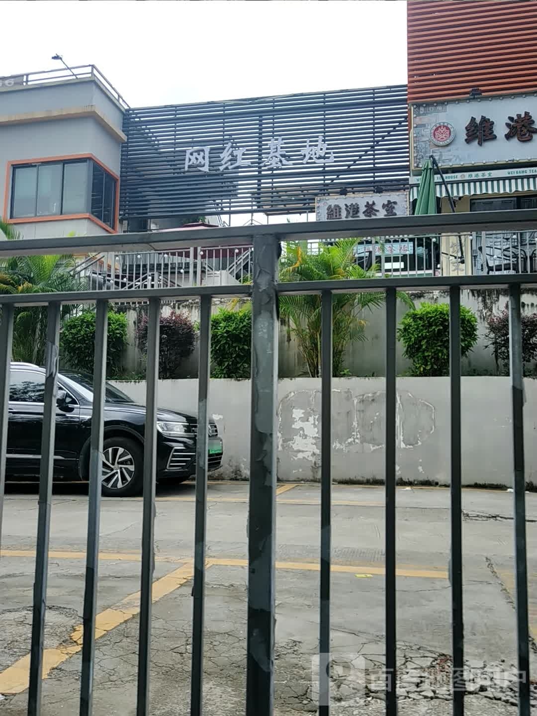 网红基地