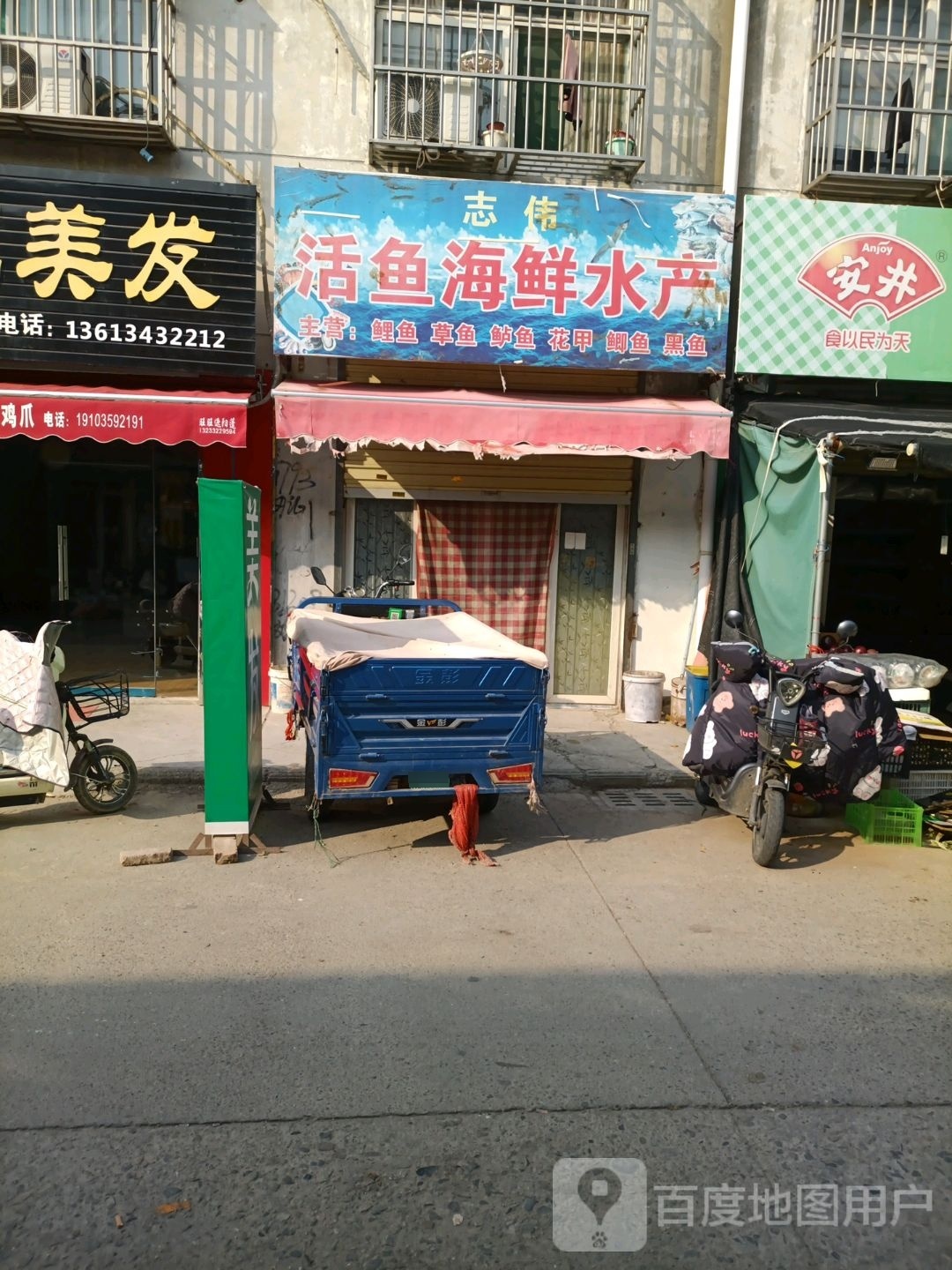 志伟活鱼海鲜水产店
