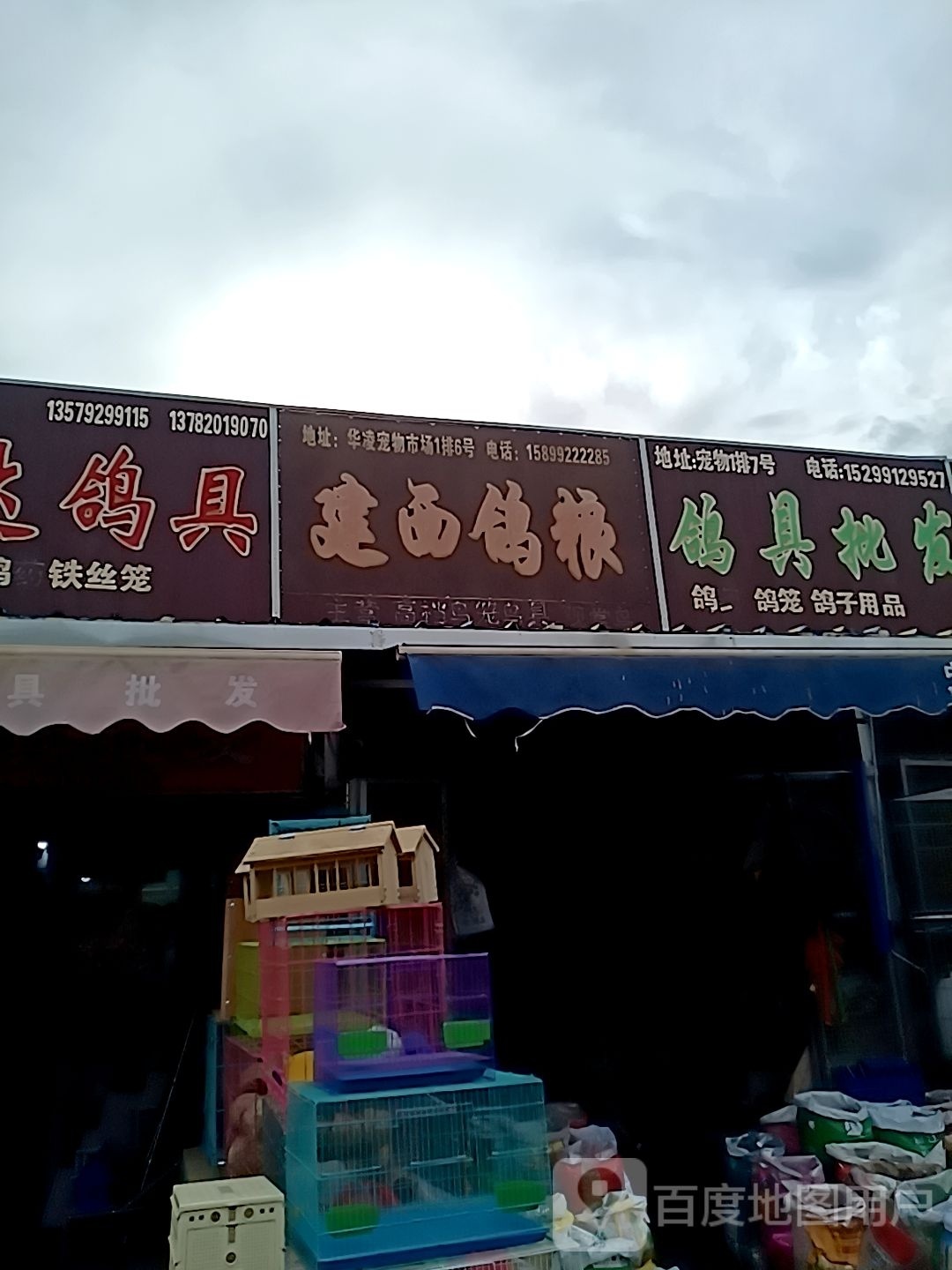鳕鸽西吆粮绍建