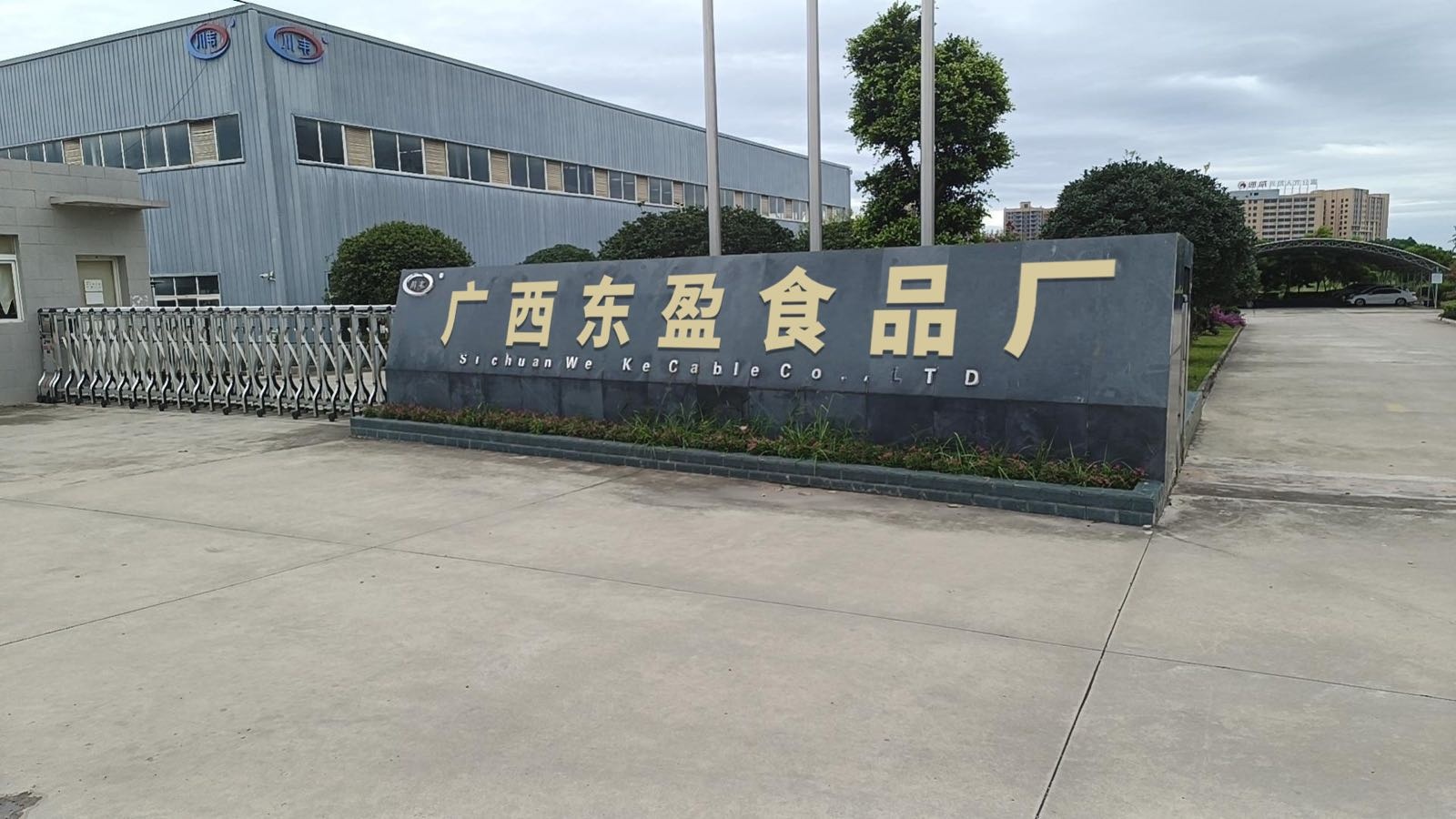 广西东盈食品厂