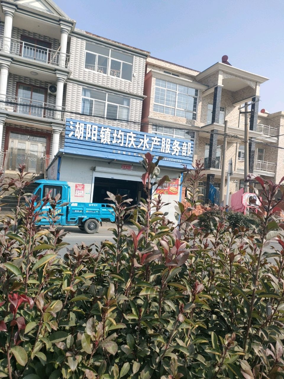 湖阳镇均庆水产服务部