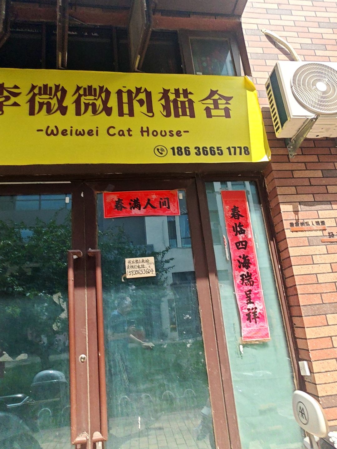 李微微的猫舍