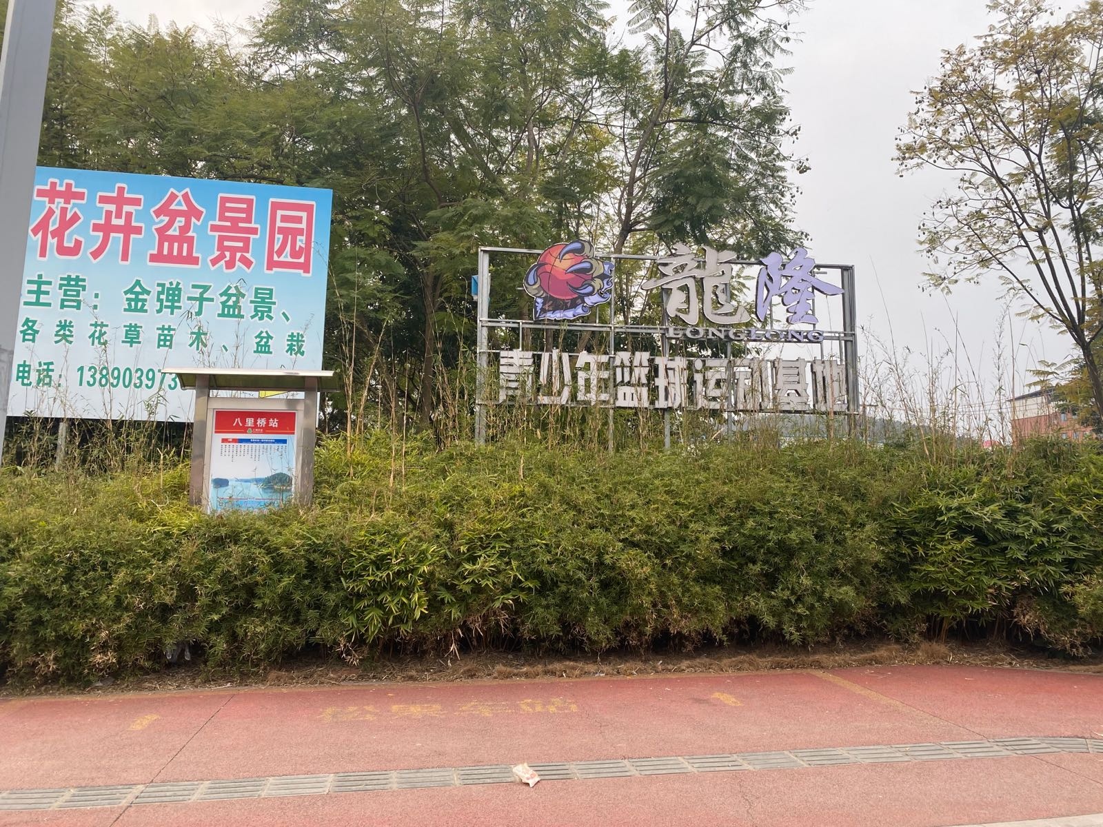 龙隆青少年篮球运动基地