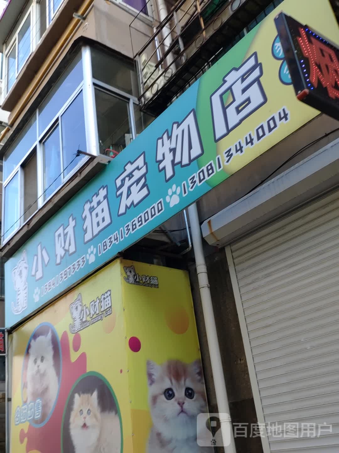 小财猫猫宠物店