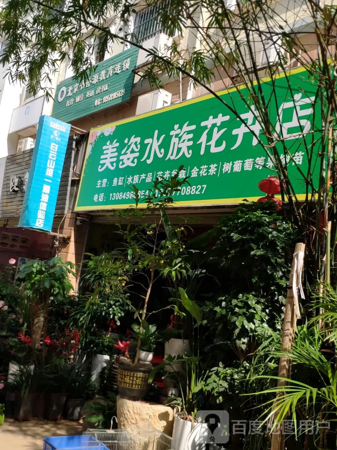 美姿水族花卉店