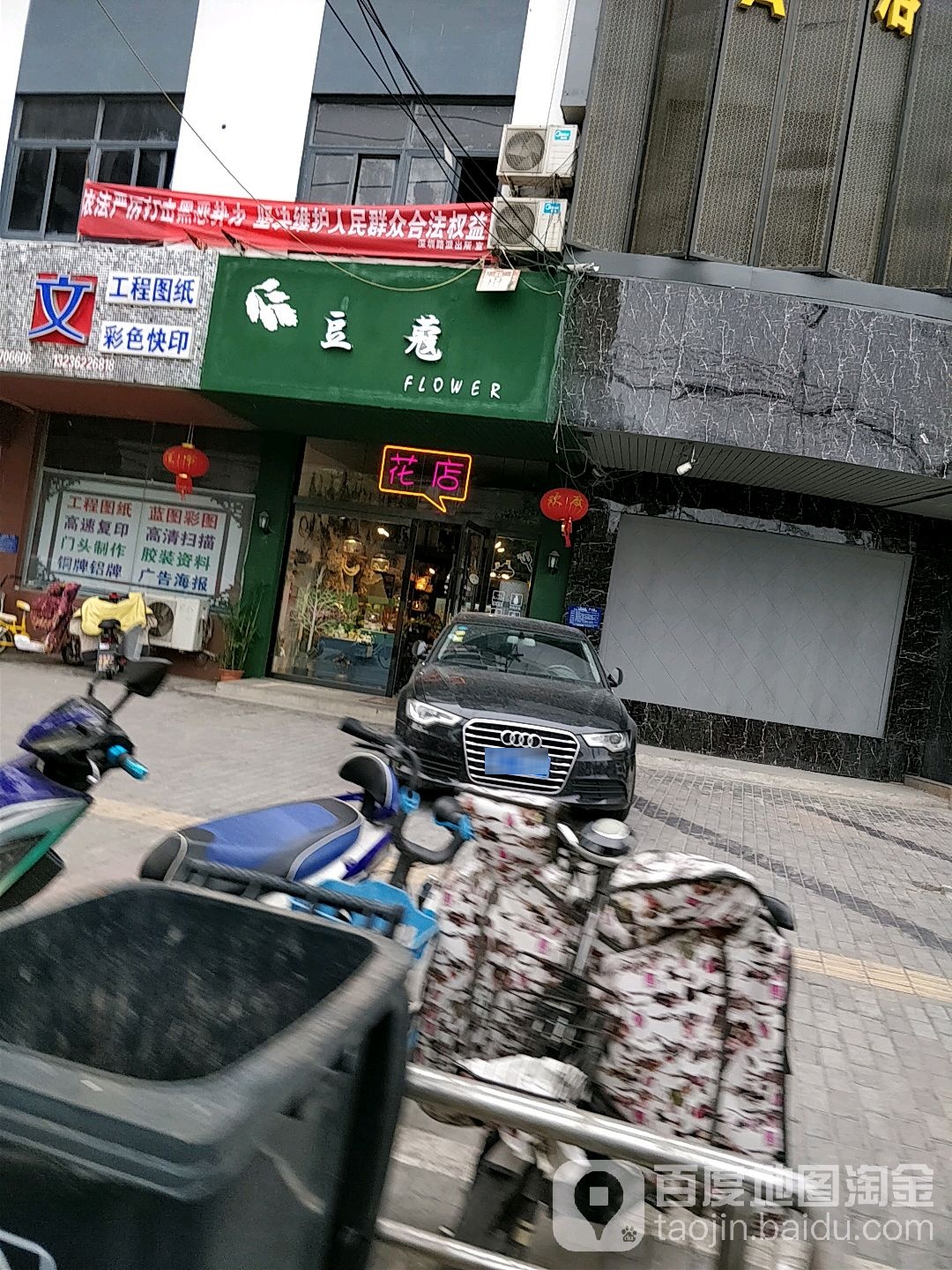 豆蔻鲜花