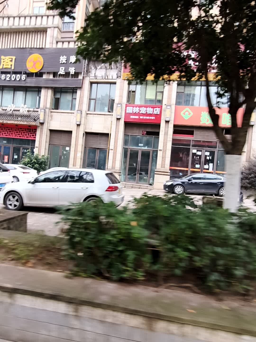 国林宠物店