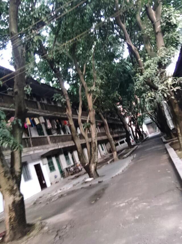 玉林市松脂厂生活区