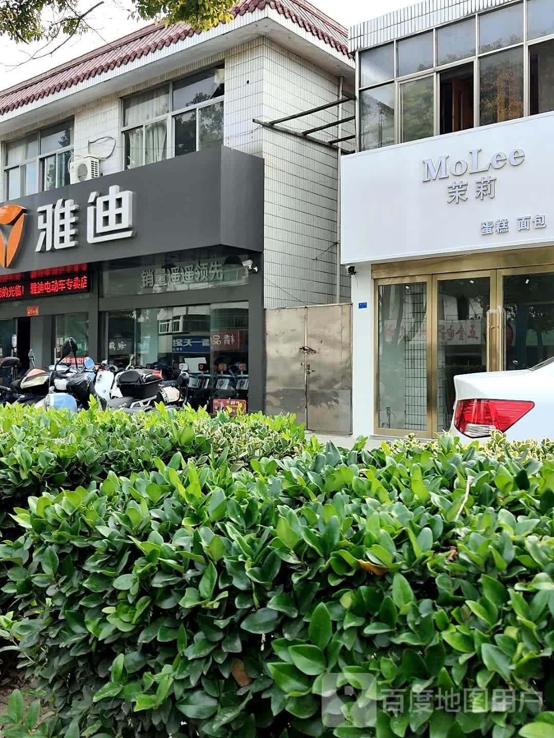 茉莉蛋糕面包