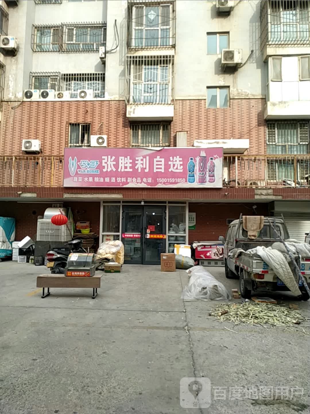 张胜利自选