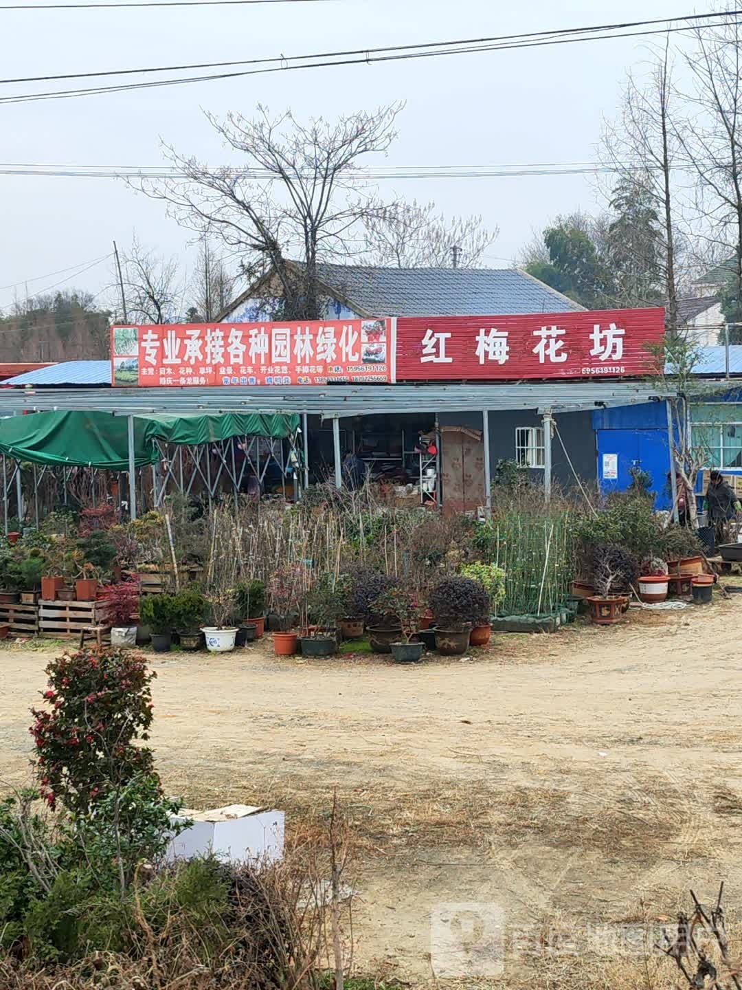红魅花坊