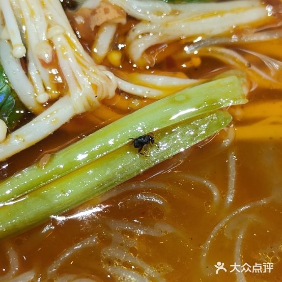 食嗨伤害小吃(食嗨美食城店)