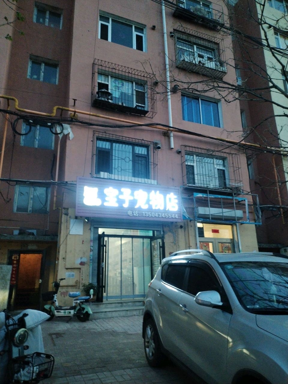 宝子宠物店