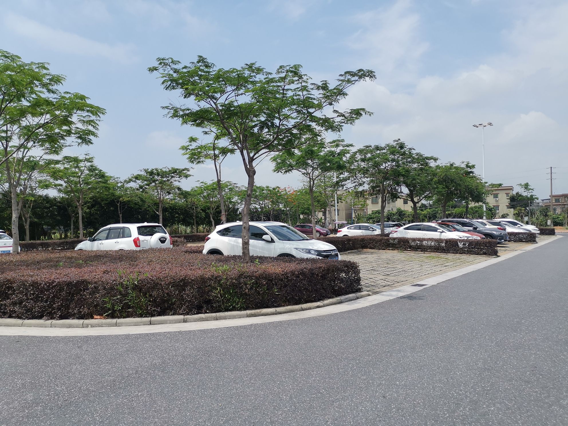 镇海鸥岛停车场停车方便广州海鸥岛停车停车位照片景区公园户外停车场