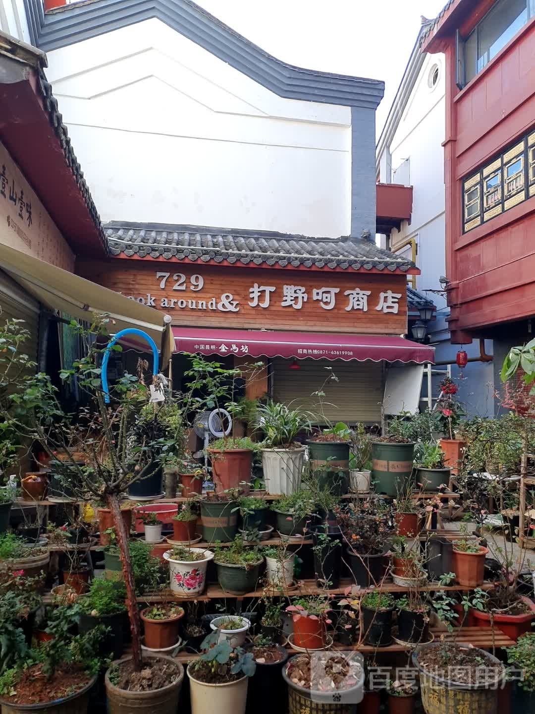 729打野呵商店