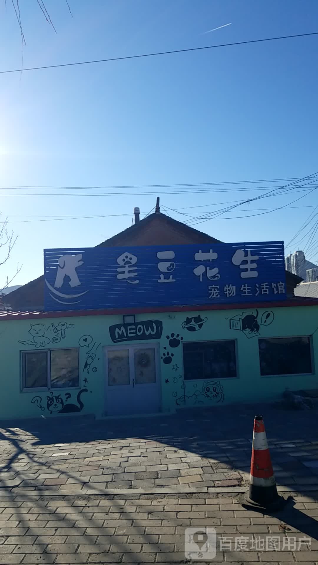毛豆花生宠物生活馆
