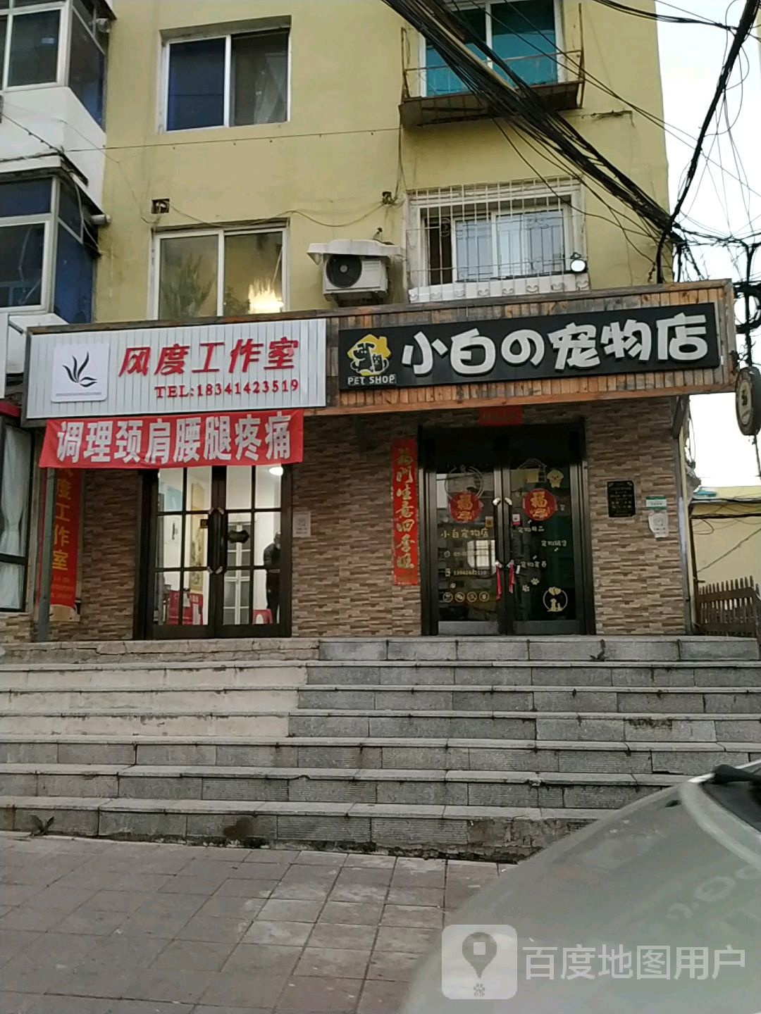 小白的宠物店