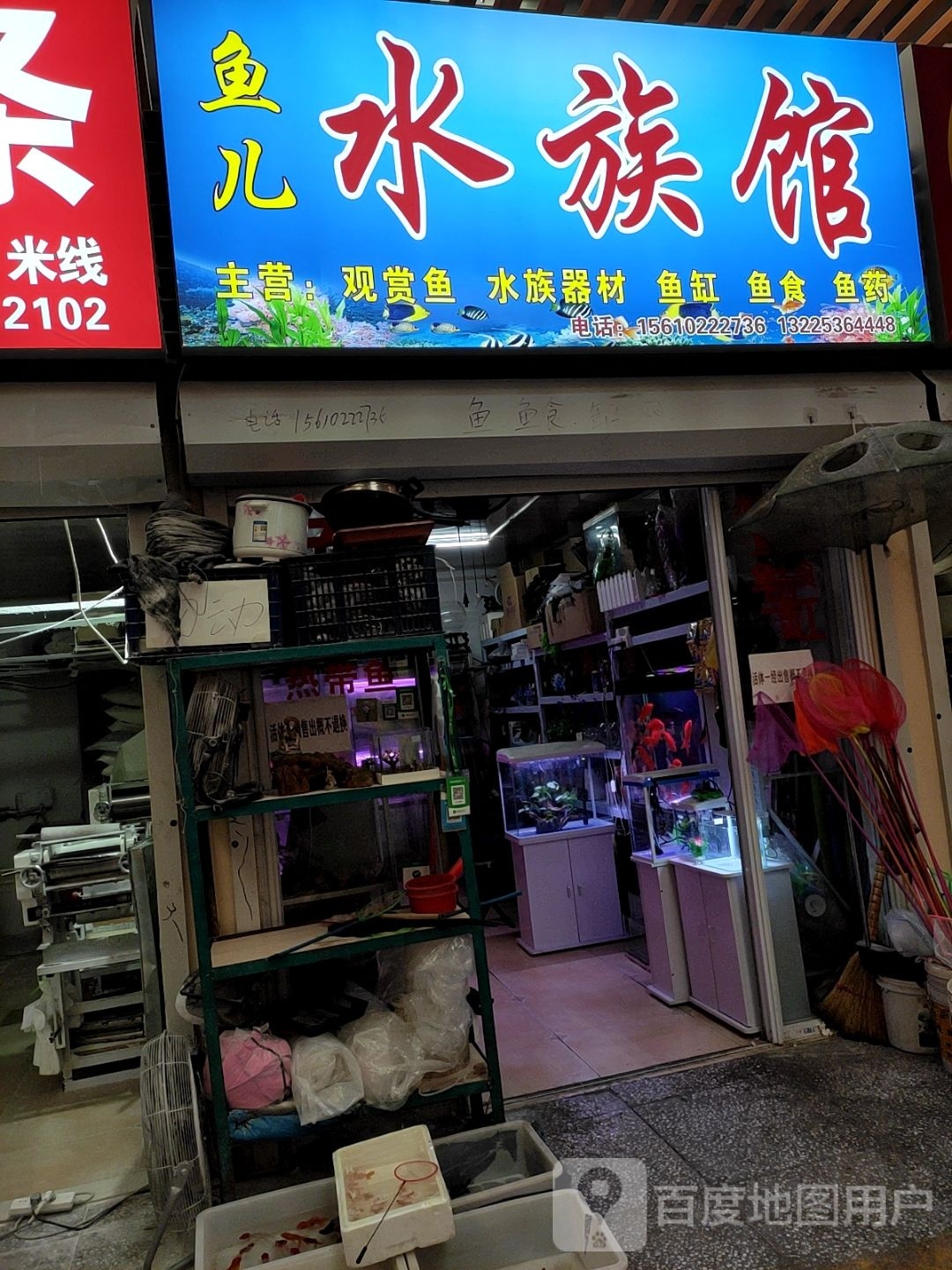 鱼儿水族馆(凤凰商贸城店)