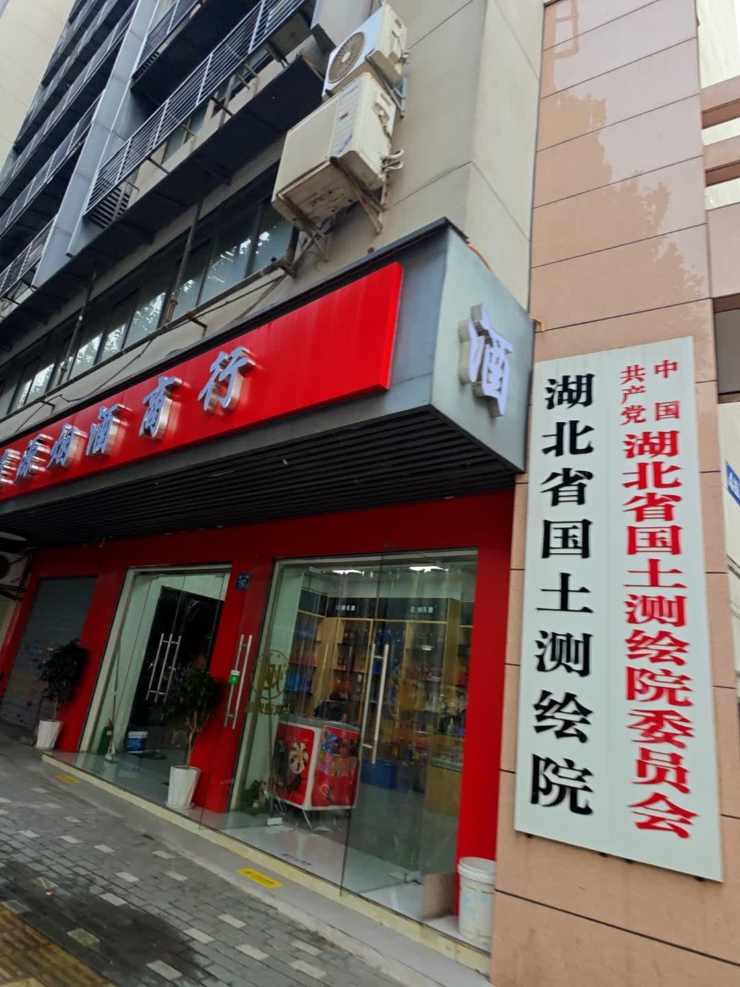 湖北省国土测绘院