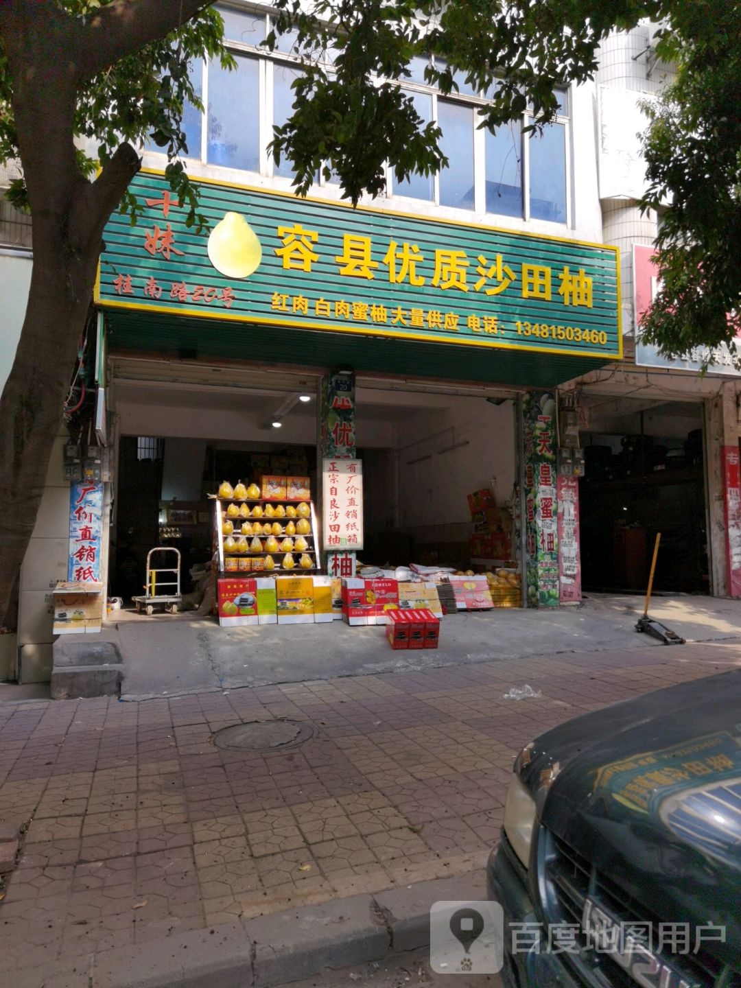 十妹容县优质沙田柚