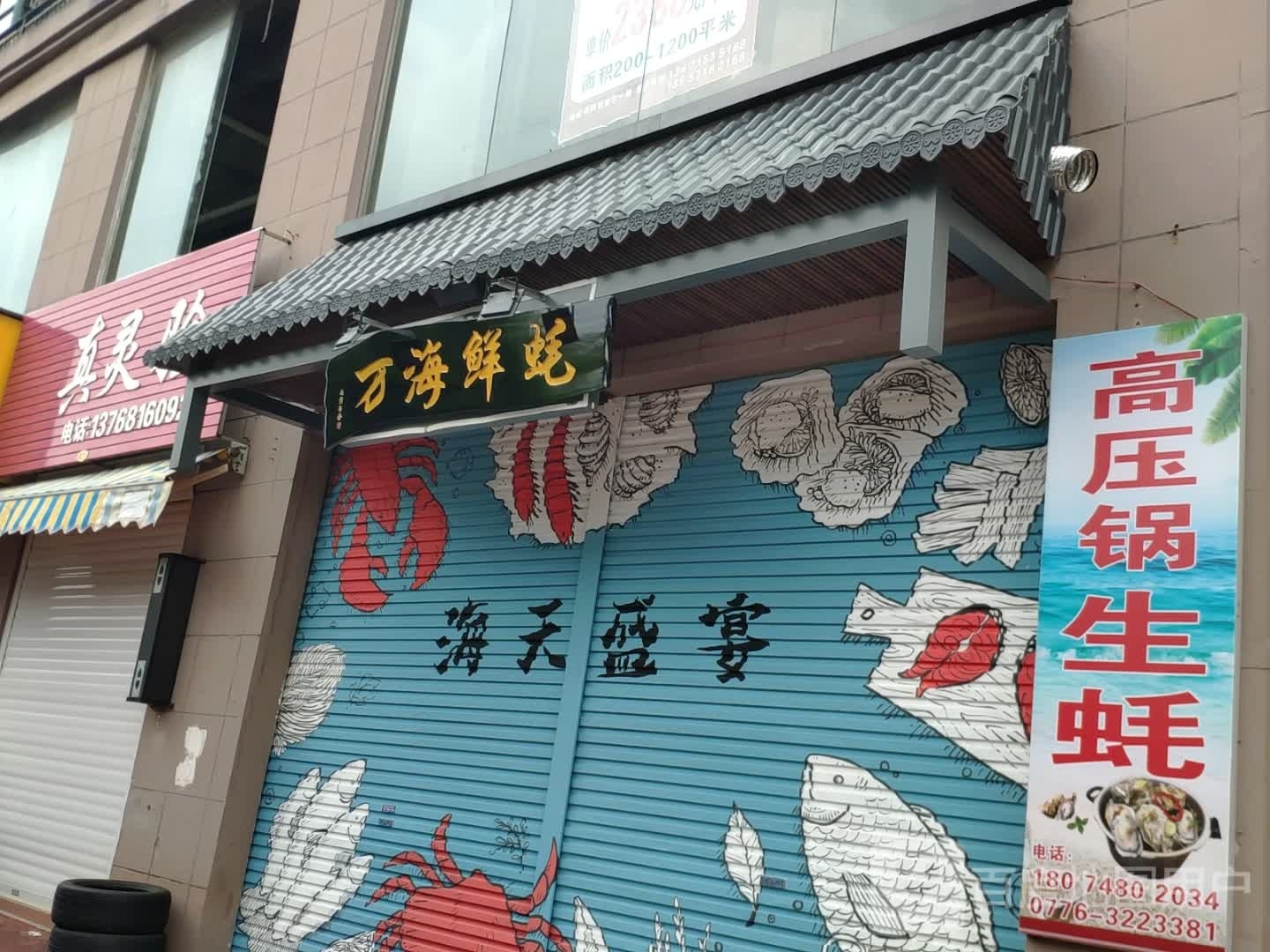 万海鲜蚝