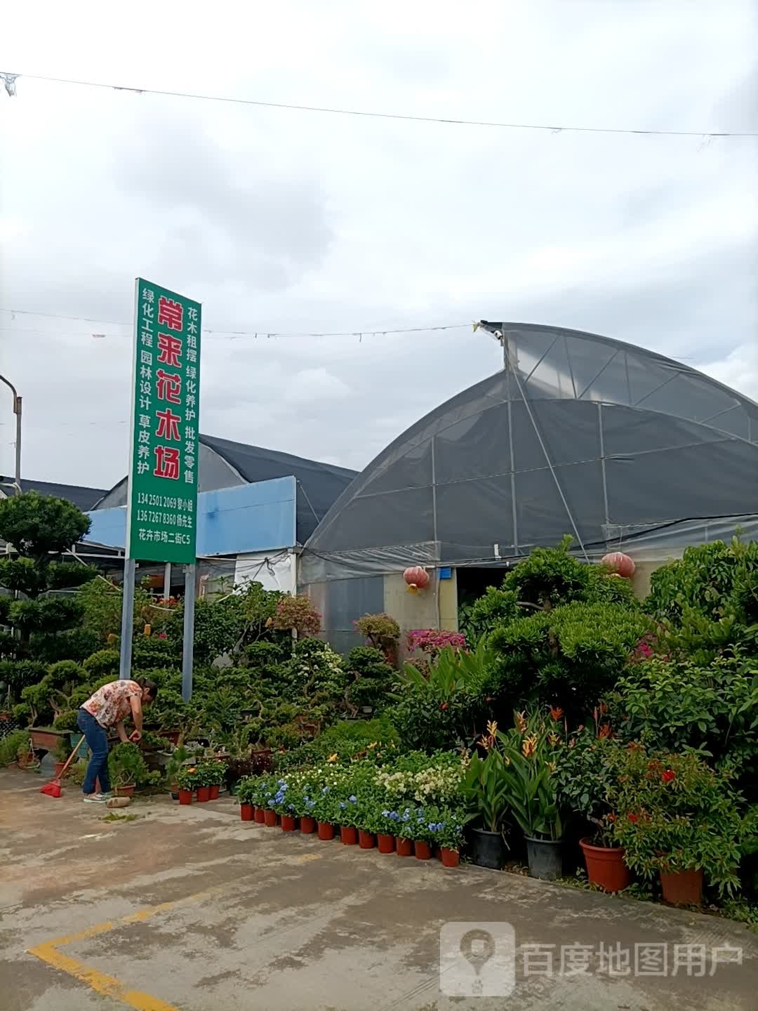 惠风和畅花卉市场