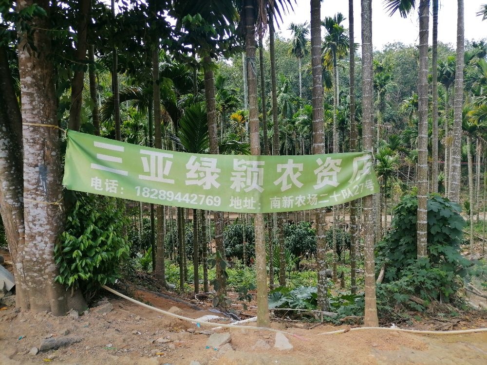 三亚绿颖农资店