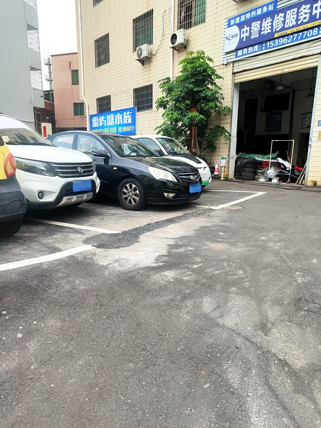 雷屿塘水族