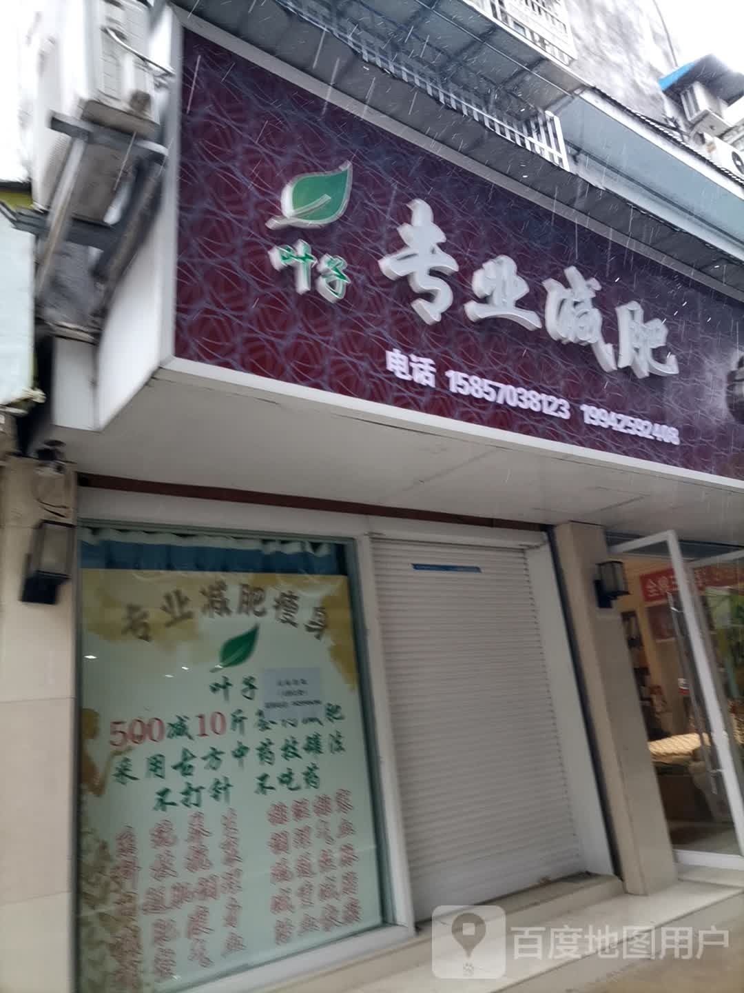 叶子专业减肥