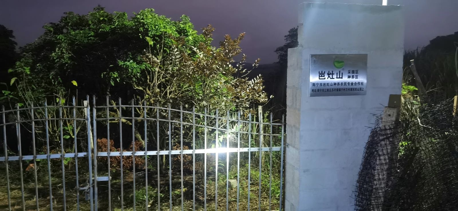 岜灶山采摘区种养区